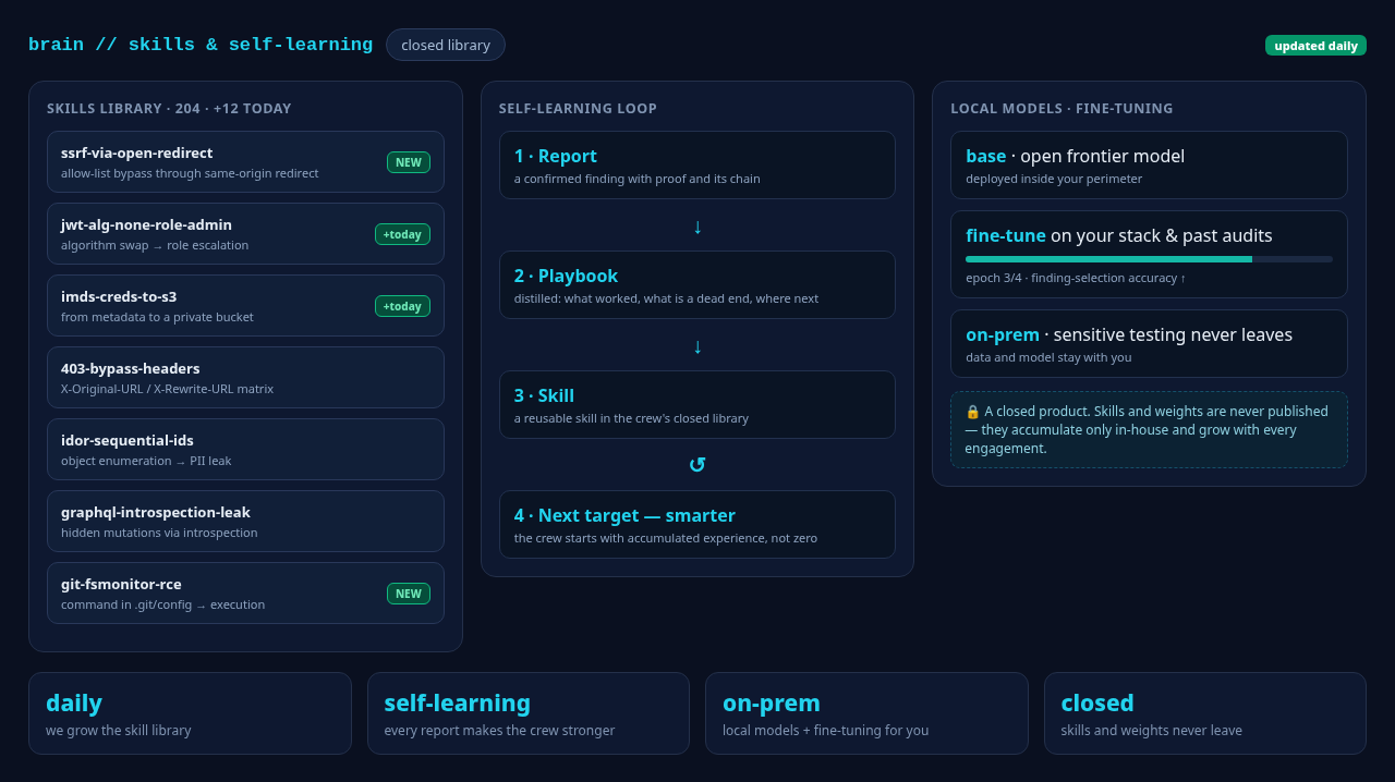 AI Brain skill library, the self-learning loop from reports, and local model fine-tuning on the client stack